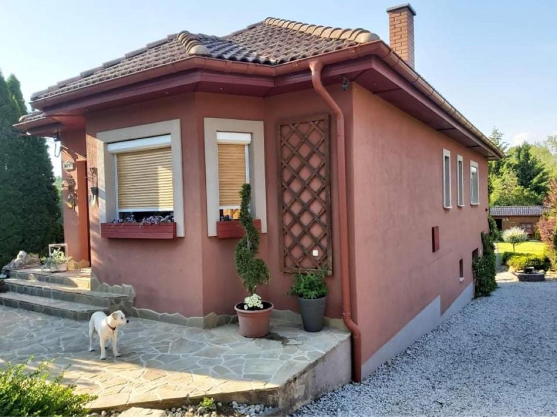 Hotel Nyirjes Vendeghaz Balassagyarmat Exterior foto