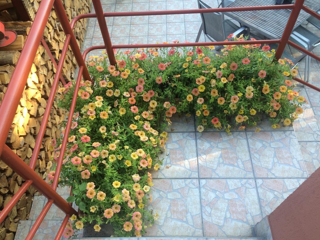 Hotel Nyirjes Vendeghaz Balassagyarmat Exterior foto